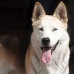 Eugen Gellért - @gellerteugen - Instagram