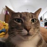 Eugene Gibbons - @eugene_lewis1 - Instagram