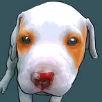 Eugene-Gil Rruffo - Facebook