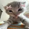 good_enough - @good_enough04 - TikTok