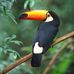 Eugene Willard Gott - Facebook