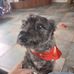 Eugene Gray - Facebook