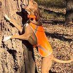 Eugene Grayson - @grayson848 - Instagram