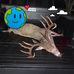 Gene Griggs - Facebook