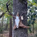 Eugene Hammond - Facebook