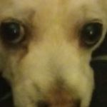 Eugene Harmon - @eugeneharmon9 - Instagram