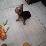 Ronald Eugene Hills - @rhills123 - Instagram
