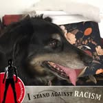 Eugene Hook - @eugene.hook - Instagram