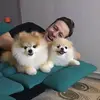 howe.eugene.kim - @howe.eugene.kim - TikTok