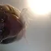 Eugene Hurt - @eugene.hurt - TikTok