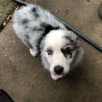 Eugene Kerns - @william_kernsdad - Instagram