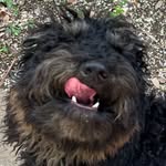 Barnes Eugene Kimble - @barnesyboy8 - Instagram
