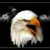 Eugene Kirkpatrick - Facebook