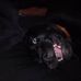 Eugene Kirkpatrick - Facebook