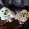 Dennis Eugene Lake - @2184894684 - TikTok