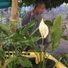 Eugene Langeveld - @eugene.langeveld - TikTok