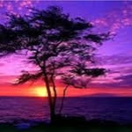 EugeneLar_songfre672 - @eugenelar_songfre672 - Instagram