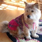 Mitsu LeMasters - Facebook