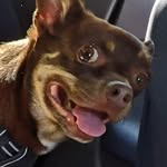 Eugen Lieder - @liedereugen - Instagram