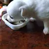 jimeugenelogan - @jimeugenelogan - TikTok