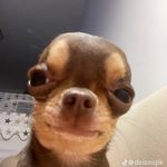 Eugene Lopez - @eugene_lopez2 - Instagram
