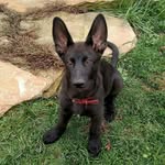 Eugene lovejoy - @eugenelovejoy - Instagram
