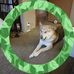 Eugene Lovell - Facebook