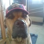 Earl Eugene McCarroll IV - @mccarrolliv - Instagram
