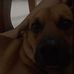 Eugene McCloud - Facebook