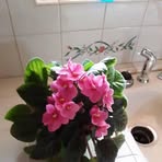Eugene McGrew - Facebook