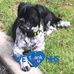 Eugene Mckee - Facebook