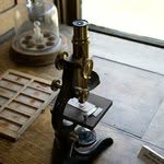 Eugene Mead - @eugenemead - Instagram