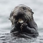 Eugene Mills - @geneo580 - Instagram
