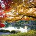 Eugene Milton - Facebook