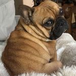 Eugene Douglas Minton - @eugene_minton - Instagram