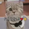Lorenzo - @eugeneamoe - TikTok