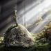 Eugene Moll - Facebook