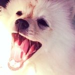 Jerome Eugene Morrow - @sir_jeromeo - Instagram