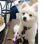 Jerome Eugene Morrow - @jeromeoffinance - Instagram