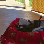Mortimer Eugene Le'Andre - @allaboutmorti - Instagram