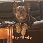 Randy Eugene Moss - @randyeugenemoss - Instagram