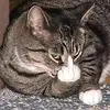 @Eugene munro - @mr.offical55 - TikTok