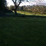 @eugene.nixon228 - Instagram
