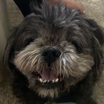 @shadoweugeneparham - Instagram