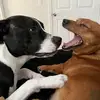 Eugene Patrick - @eugene.patrick2 - TikTok