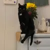 PickensEugene - @pickenseugene - TikTok