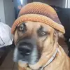 Eugene spitzer - @eugene.spitzer - TikTok
