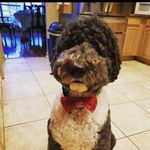 Eugene Randall - @bubblehead712 - Instagram