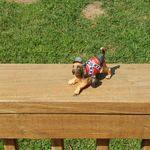 Bobby Eugene Riggs - @eugene.ledbetter.5 - Instagram
