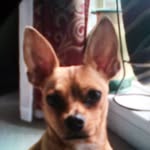 Roscoe Eugene - @roscoe_eugene_crabs - Instagram